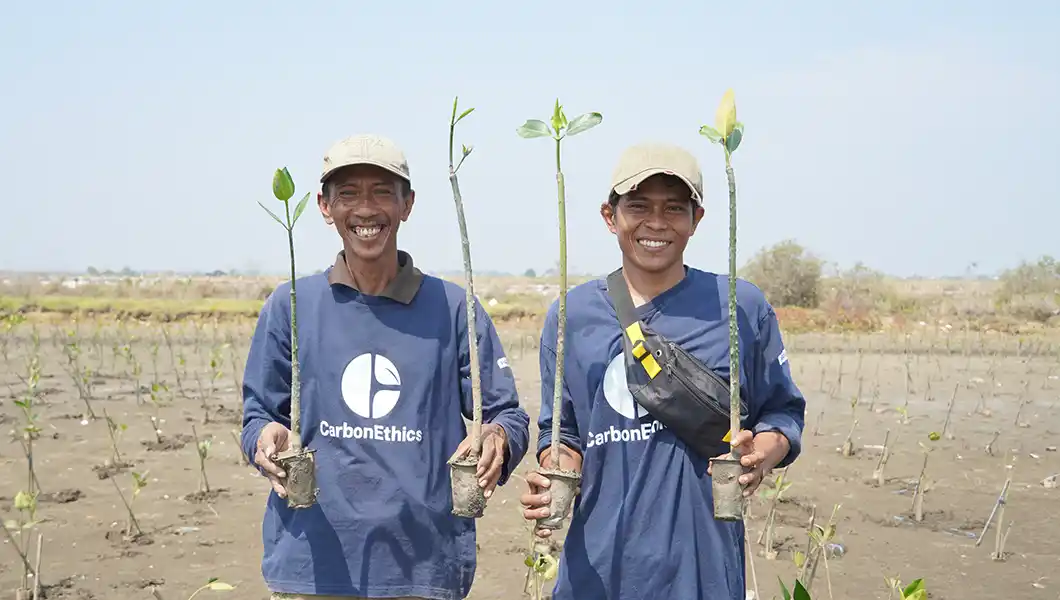CSR Tree Planting Partners